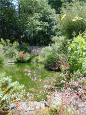 Riverside Trees Garden